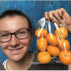 ALFOURER MANDARINS 1KG Bag (MEDIUM SIZE) NORTHLAND Grown